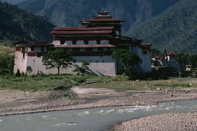 Image 147821643
