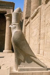 Image 147827816