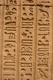 Image 147827833