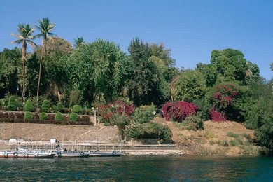 Image 147828000