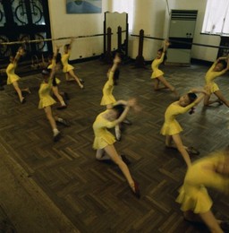 Image 147830942