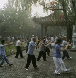 Image 147830943