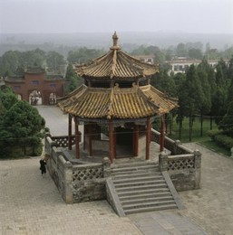 Image 147831482