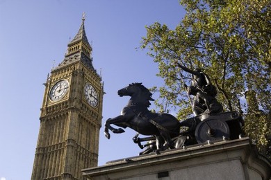 Image 147833345