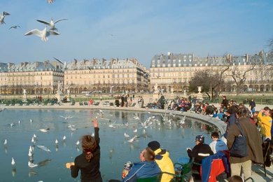 Image 147833765