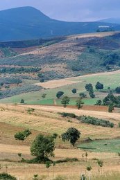 Montezinho Nature Preserve / Scenery