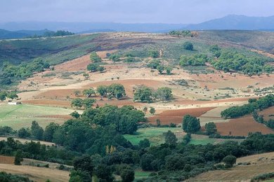 Montezinho Nature Preserve / Scenery