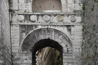 Image 147840070