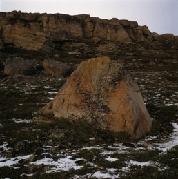 Image 147845426