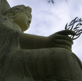 Image 147846005