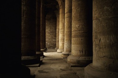 Image 147847541