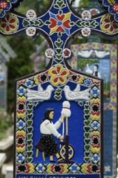 Image 147849418