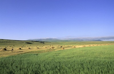 Turkey, landscape / photo