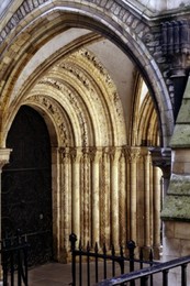 Image 147852149