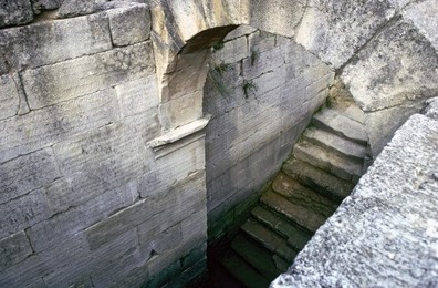 Image 147855796