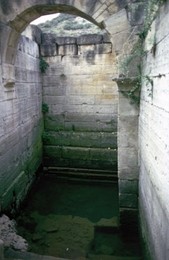 Image 147855797