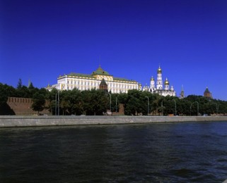 Image 147856821