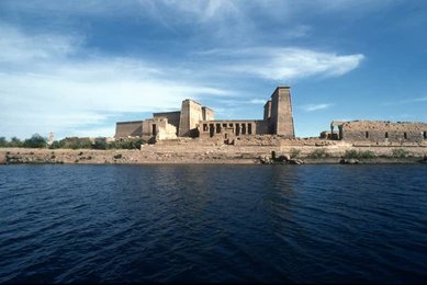 Image 147858539