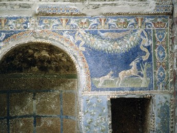 Image 147860605