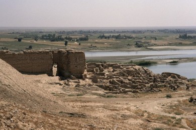 Image 147861445