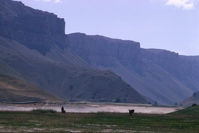 Image 147862354