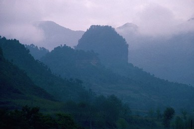 Image 147863096