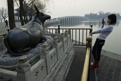 Image 147870021