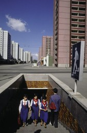 Image 147872317