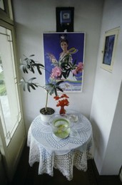 Image 147872488