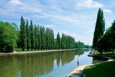 Image 147873890