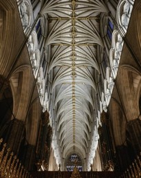 Image 147875116