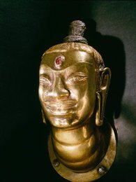 Image 147875215