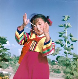 Image 147875241