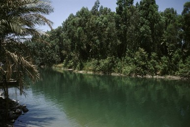 Image 147875826