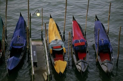 Image 147879749