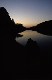 Image 147883349