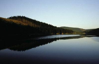 Image 147883709