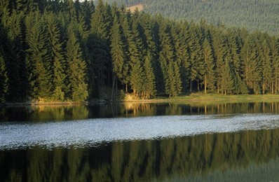 Image 147883711