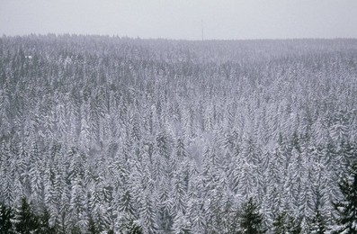 Image 147883715