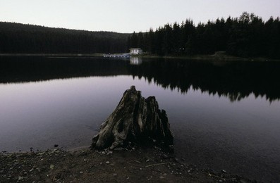 Image 147883716