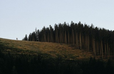 Image 147883717