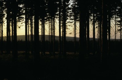 Image 147883720