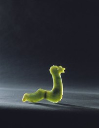 Image 147892538
