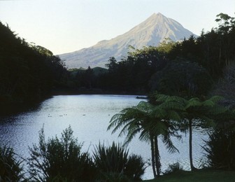 Image 147892607