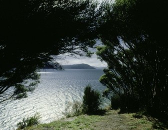Image 147892713