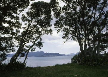 Image 147892761