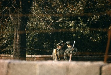Image 147901628