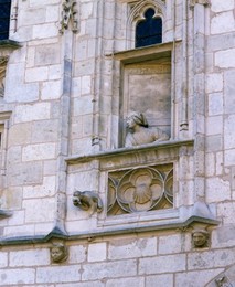Image 147904261