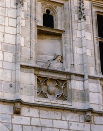 Image 147904264
