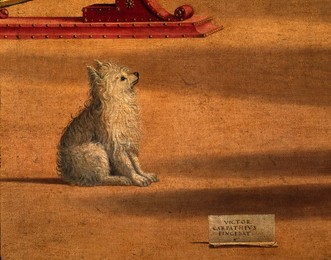 Image 147907431